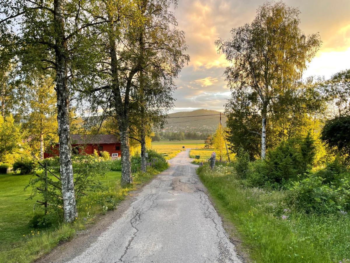 Ostello Helsingegarden Järvsö Esterno foto