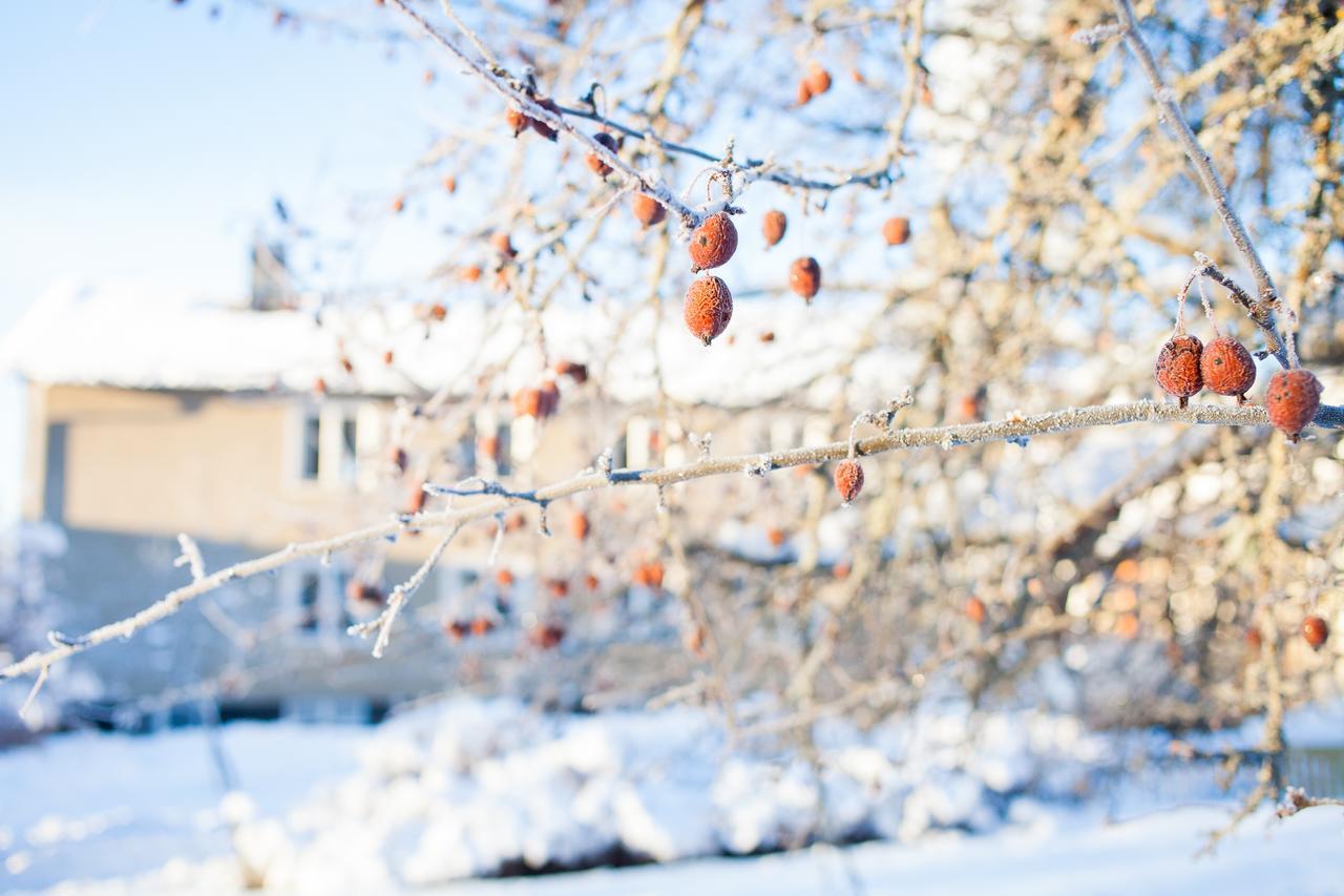 Ostello Helsingegarden Järvsö Esterno foto