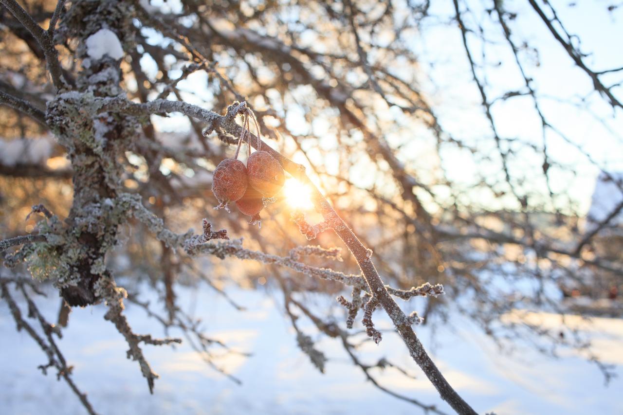Ostello Helsingegarden Järvsö Esterno foto