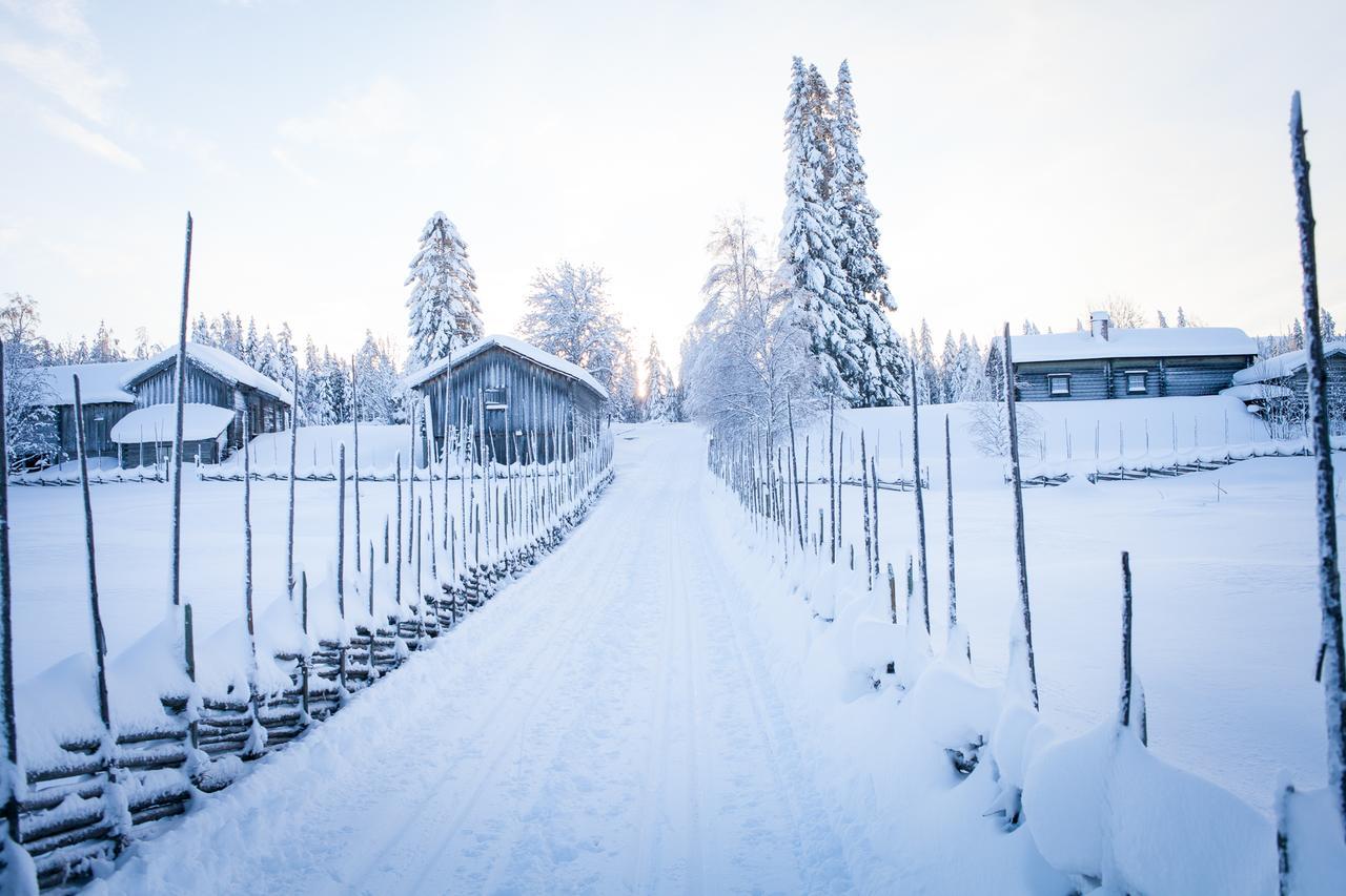 Ostello Helsingegarden Järvsö Esterno foto