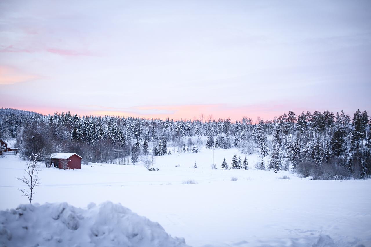 Ostello Helsingegarden Järvsö Esterno foto