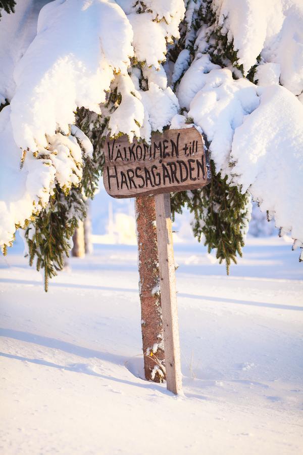 Ostello Helsingegarden Järvsö Esterno foto